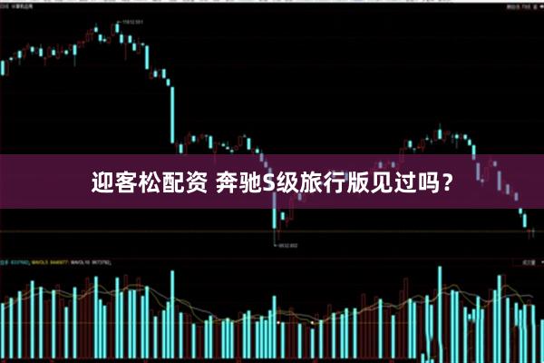 迎客松配资 奔驰S级旅行版见过吗？