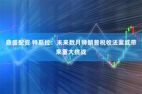鼎盛配资 特斯拉：未来数月特朗普税收法案或带来重大挑战