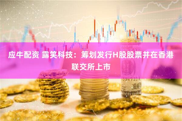 应牛配资 露笑科技：筹划发行H股股票并在香港联交所上市